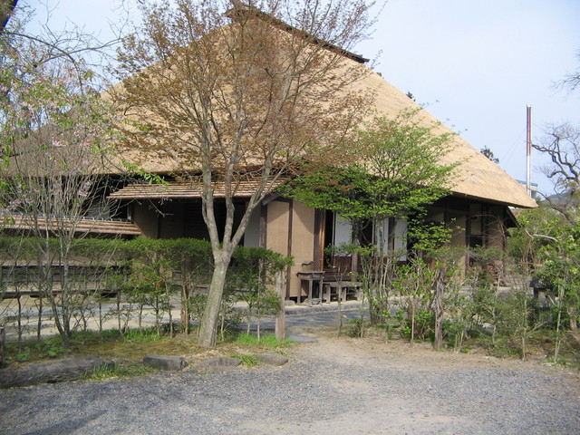 今野屋 - 登米市その他（そば）の写真