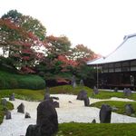 竹情荘 - 光明院の紅葉(2015.11)