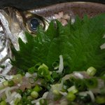 棟梁 - 「淡路産・鯵のたたき特上」の目が新鮮に感じた