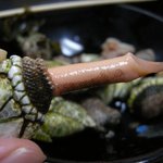 棟梁 - 「亀の手」こういうのはあまり美味しくなかった