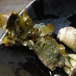 棟梁 - 「亀の手」海藻が生えてるものもあった