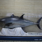 梅田芝田1丁目まぐろや - 