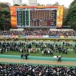 庵 - ゴールドシップが誘導馬に見えた瞬間！