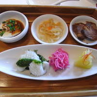 四川豆花飯荘 東京店 - 海の幸・山の恵みの彩り前菜