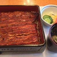 鰻割烹 伊豆栄 本店 - 
