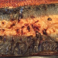 鰻割烹 伊豆栄 本店 - 