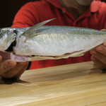 鬼鯵と呼ばれる平鯵