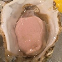 オイスターバー&ワイン BELON 銀座 - 昆布森アップ
