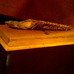 海ぼうず本店 - 