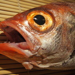 のどぐろ専門 銀座 中俣 - 