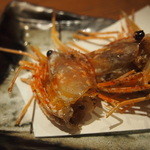 のどぐろ専門 銀座 中俣 - 