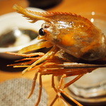 のどぐろ専門 銀座 中俣 - 