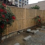 南天が綺麗に実を付けて（和のおもてなし）