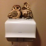 みさき - トイレでふくろうが