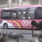 カジュアルフレンチ アミューズ - 窓のカーテン越しに、小金井市のコミュニティバス COCOバスが走っているのが見えました