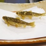 秋田 てんぷら みかわ - 秋田県産　本もろこ