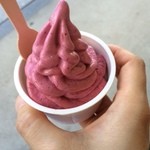 鎌倉ウッドベリーズプラス - ハスカップ