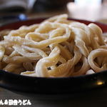 手打うどん 松屋 - 2015年12月　うどん