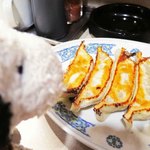 元祖 札幌や - まずは大人気の餃子(1人前6個入り)を注文。
      焼きあがるまでまた少々待たされたけど、
      ボキの見る限り、お店で食べてる人は
      全員これを注文してたので期待が高まります♪