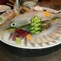 鮨隆 - 烏賊と関サバのお造り