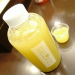 サロニック - 