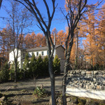 バローレ - 素敵な外観