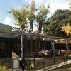 シェイクシャック 外苑いちょう並木