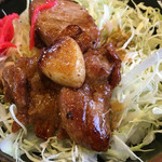 ラーメンちゃん - ちゃん・ミニコマ丼
            四日市市名物トンテキのこま切れを丼にしたもの
            濃い目のタレ、しっかり歯応えのトンテキ、ニンニクがひとかけら