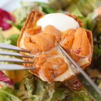 生ウニと青さの焼きたて半熟キッシュ　