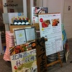 Oyster Bar ジャックポット - 