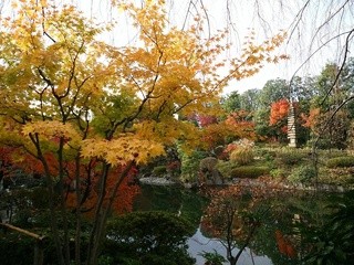 西海 - 紅葉の季節です。ひと時の休憩をして仕事に戻ります。