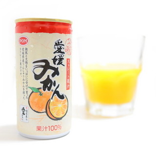 石鎚山サービスエリア(下り線) フードコート_0