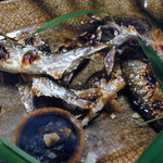 初夏の鮎塩焼き
