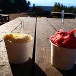 レストラン コンテッラ - プレオープンのジェラート(*^^*)