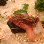 実りのかしら - 