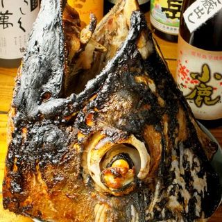 ●名物！マグロのカブト丸焼き（限定）争奪中！