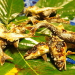 比良山荘 - 焼き鮎（3回目）