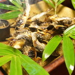 比良山荘 - 焼き鮎（1回目）