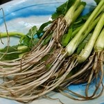 浅草じゅうろく - 根っこ付きの美味しい芹