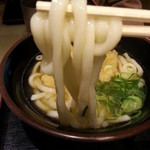 やりうどん - ごぼう天うどん