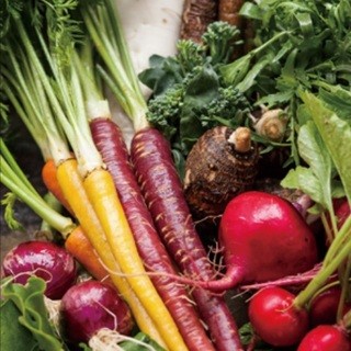 Organic vegetables produced by Manten Farming