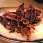 居酒屋 舞子 - 100714富山　舞子　サービス