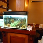 鯉新 - 【2015.12.4(金)】店内にある水槽