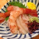 お酒・お惣菜・和食 竜田屋 - H.27.8.2.夜 ボタンえびの造り 700円