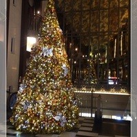 ゼックスウエスト サルヴァトーレ クオモブロス - 