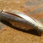 鮨 さいとう - 2015年8月中旬。