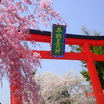 京都・平野神社境内 ひさご茶屋  - 