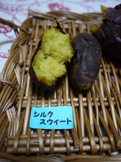 やきいも かん太 - 山形（焼き芋・大学芋）の写真