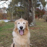 가루이자와 델리카테센 - 疲れたから帰ろうよ～