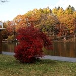 가루이자와 델리카테센 - 最後に紅葉を見てかえります